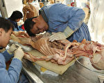 追查国际：关于塑化人体标本尸体来源调查报告