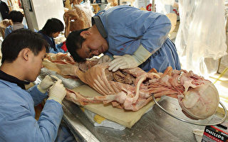 追查國際：關於塑化人體標本屍體來源調查報告
