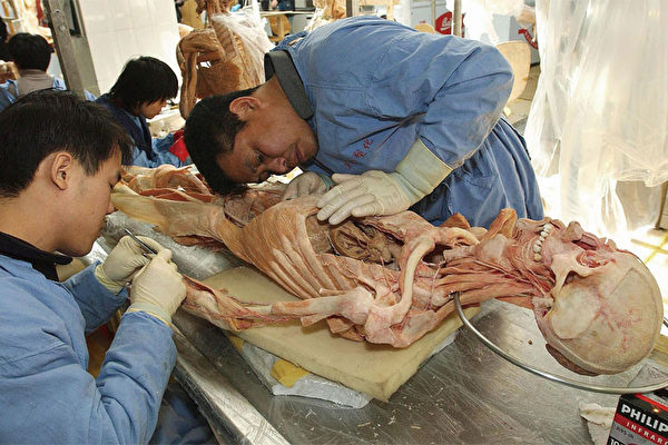 追查国际：关于塑化人体标本尸体来源调查报告