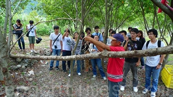 莎韵的故乡 金岳部落 泰雅族 大纪元
