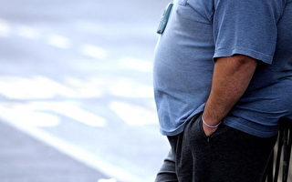 德國政治家：發獎金鼓勵減肥