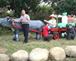 農產豐富滿牛車  再現農村之美