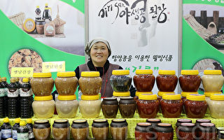 历届规模最大的首尔国际食品展