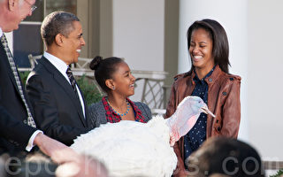 组图：白宫感恩节传统 奥巴马赦免火鸡