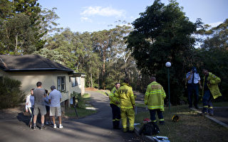 悉尼蘭考夫國家公園叢林起火已控制