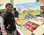 中市外埔設有機專區 鼓勵農民進駐