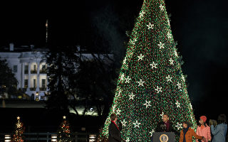 奥巴马点亮美国国家圣诞树 祝世界和平繁荣