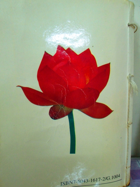 印在《轉法輪》封底原是一朵含苞欲放的蓮花，直至今天十八年來，花蕾還一直不停地綻開著。（攝影：容乃加）