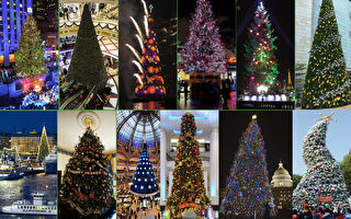組圖：聖誕節倒計時 全球聖誕樹大比拼