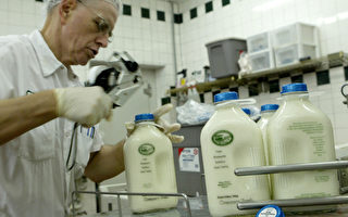 農業法若未修改  美牛奶價格明年初恐倍漲