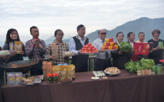阿里山頂石桌賞櫻找茶 人間仙境
