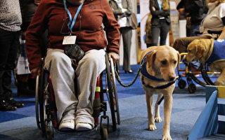 协助犬：非盲人残障者的福音