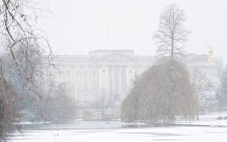 组图：罕见暴雪袭英国 全国交通学校瘫痪