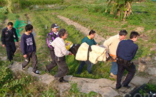 龙潭大平村自行车道游客滑落边坡获救