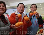 獅潭草莓甜柑桔優  劉政鴻邀約嚐鮮