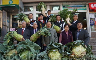 楊梅市表揚模範農民＆大菜王競賽
