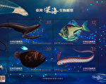 台特殊邮展 颠覆大众刻板印象