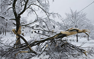 暴风雪袭缅因州等地 7死十万户断电