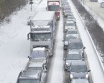 比利时11日晚下起暴风雪，导致创纪录的塞车车龙。图为12日早上，E429 高速公路近哈莉塞车车龙。（BENOIT DOPPAGNE/BELGA/AFP）