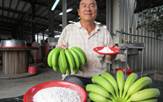 香蕉抗性澱粉  擬量產銷日