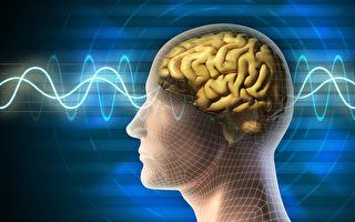 研究：刺激大脑可戒除毒瘾