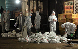 中宣部嚴控H7N9報導 上海近日每天「來兩例」引質疑