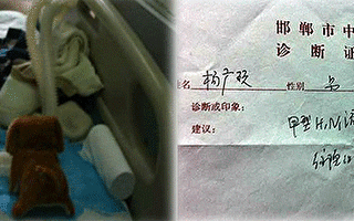 邯郸岁半男童流感病重 医院拒绝H7N9检测