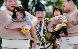 组图：日本婴儿大哭相扑赛 为健康祈福