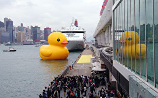 荷蘭巨型充氣鴨 首現香江重拾兒趣