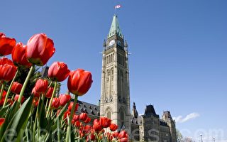 加拿大重开技术移民 语言要求高 华人申请难