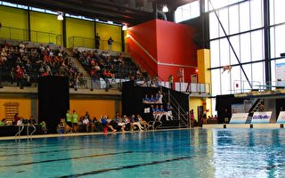 加拿大國際跳水賽周六決賽 中國22人參賽