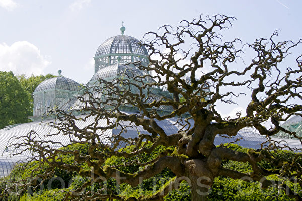 比利時王室公園對公眾開放。(攝影:蕭然/大紀元) 比利時王室公園對公眾開放。(攝影:蕭然/大紀元)