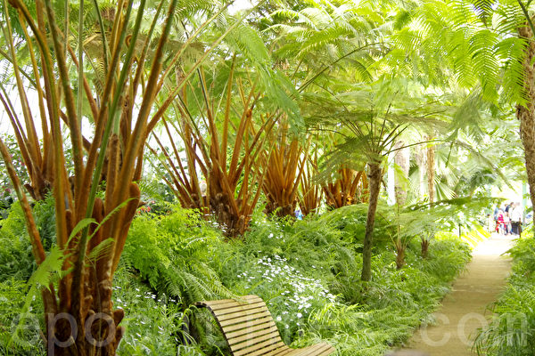 比利時王室公園對公眾開放。(攝影:蕭然/大紀元) 比利時王室公園對公眾開放。(攝影:蕭然/大紀元)