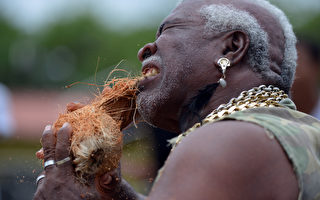 组图：巴拿马男子称6小时可用嘴剥500只椰子