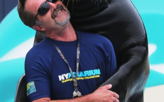 组图：纽约水族馆桑迪重创后重开