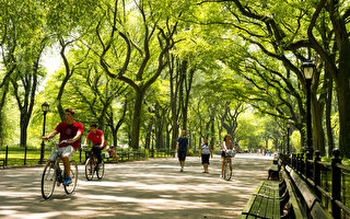 漂亮公园城市排名 纽约旧金山波士顿上榜