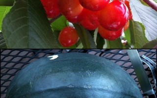 夏日水果盛产 顶级樱桃.西瓜天价