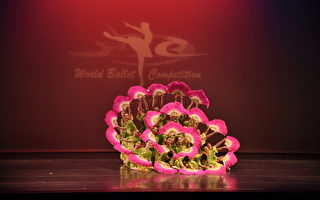 魏东昇舞校获世界芭蕾赛团体金牌