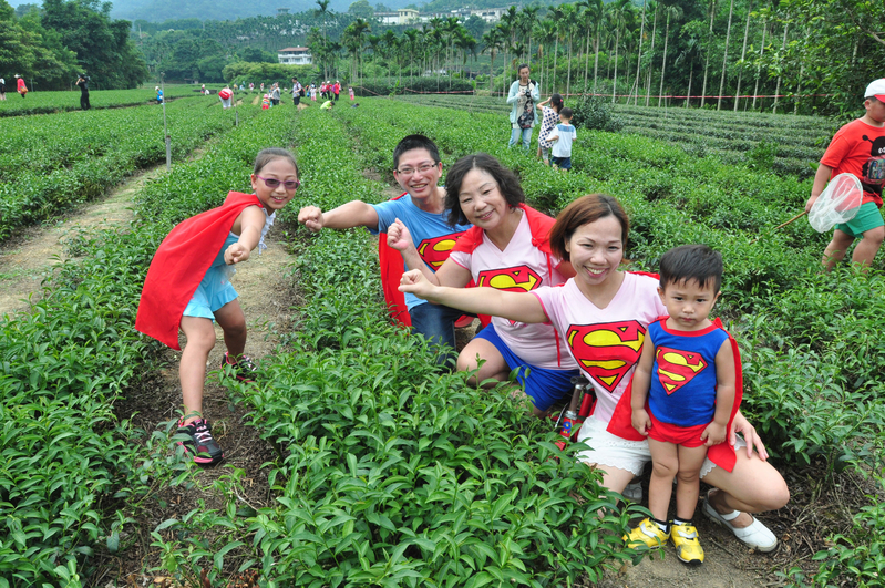 茶山生态健行千人坪林抓虫趣 茶叶 大纪元