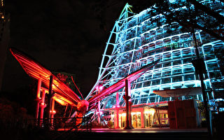 科博馆LED光雕展  传递雨林讯息