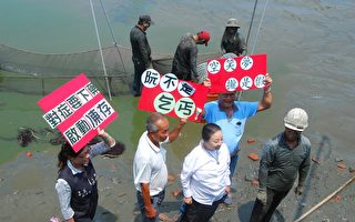 張花冠持續關懷台灣鯛價格低迷問題