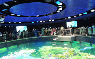新英格兰水族馆“新居”靓相