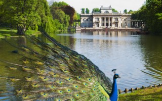組圖：波蘭蕭邦公園及水上離宮
