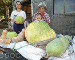 老夫妻含饴弄孙也卖有机蔬果 乐融融