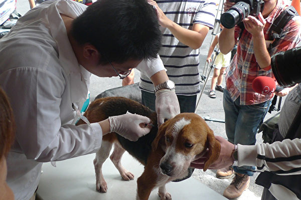 防狂犬病北市推山区疫苗注射 大纪元