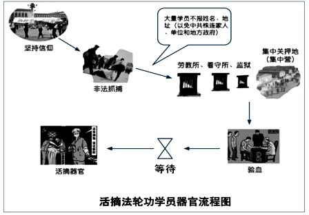 活体强摘法轮功学员器官的流程图(大纪元资料库) 活体强摘法轮功学员器官的流程图(大纪元资料库)