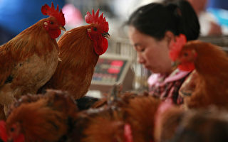 广东发现一例人感染H7N9禽流感疑似病例