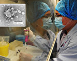科学家重启制造H7N9变异病毒 恐引发致命流感大爆发