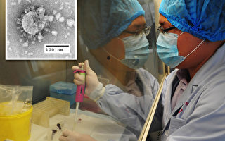 科學家重啟製造H7N9變異病毒 恐引發致命流感大爆發