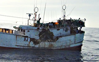 苏澳渔船遭撞  海巡驰援